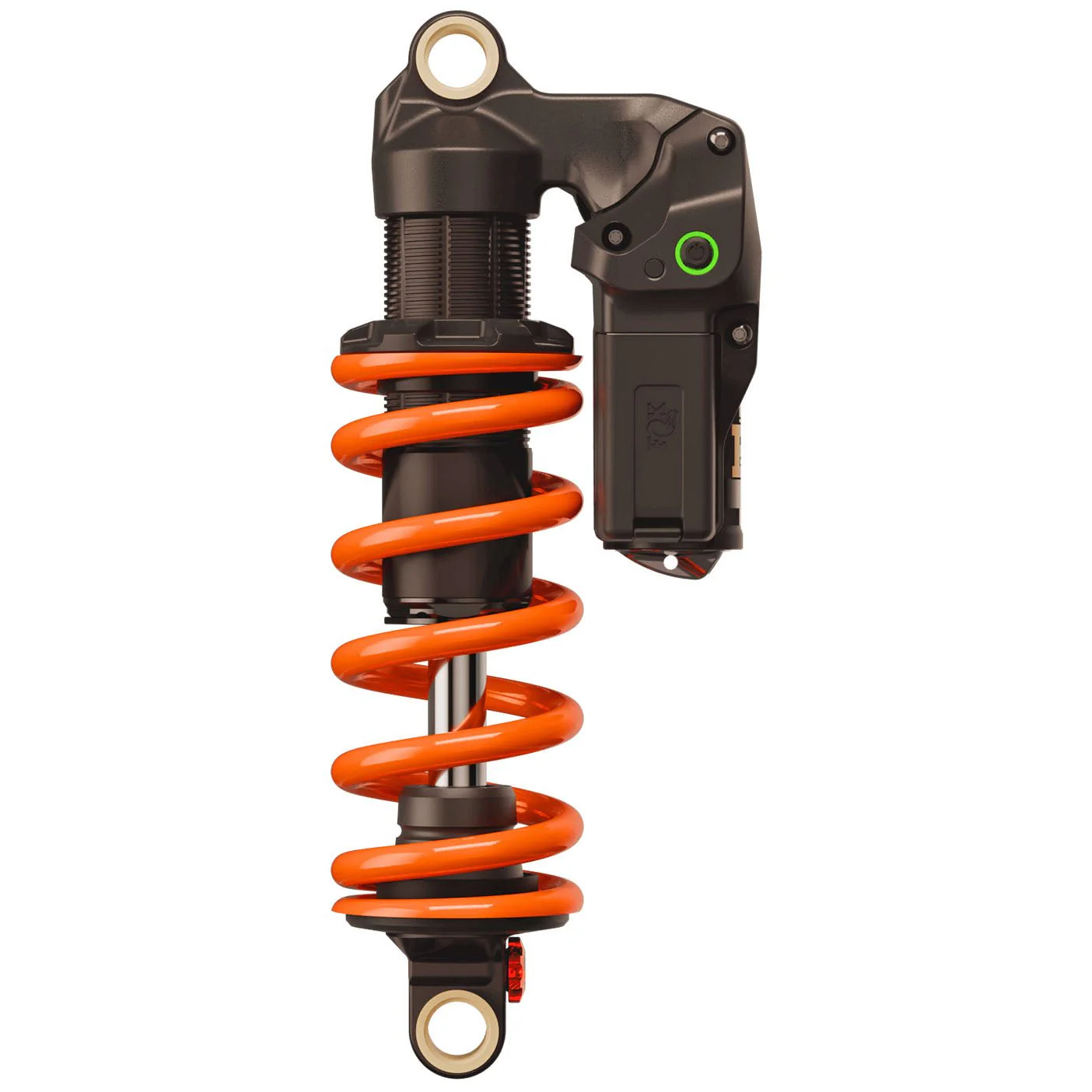 New MTB Products at The Lost Co